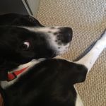 Donna Adams Meager - @donnameager - Instagram