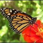 Donna Menard - @donna.menard.dm - Instagram