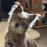 Donna Menard - @donnamenard00 - Instagram