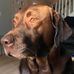 Donna Menard - Facebook