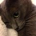 Donna Menke - Facebook