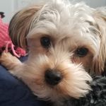 Donna Meredith - @donna.meredith.988 - Instagram