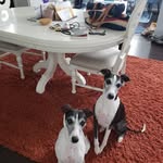 Donna Meredith - @donnameredith196 - Instagram