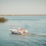 Donna Meredith Vallee - @dmvalleesanautigirl - Instagram