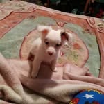 Donna Lou Meserve - @dlmeserve19671964 - Instagram
