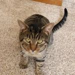 Donna Messer - @donna.messer.515 - Instagram