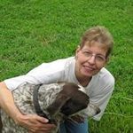 Donna Messer - @donna6827 - Instagram