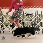 Donna Messer - @silverm00ncardis4 - Instagram