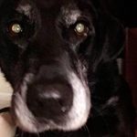 Donna Messick - @donna.messick.39 - Instagram