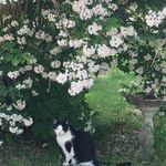Donna Michaud - @donna.dingle.m - Instagram