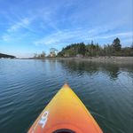 Donna Wood Michaud - @donnawoodmichaud - Instagram