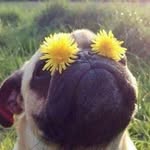 Donna Michele - @doadieken - Instagram