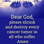 Donna Michener Davis - @donnamichenerdavis - Instagram