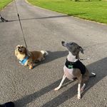 Donna & Mick - @donnamickw - Instagram
