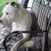 Donna Mick - Facebook