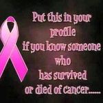 Donna Mick - @donna.mick.9 - Instagram