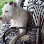 Donna Mick - @donnasmick55 - Instagram