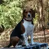 Donna Rose Middaugh - @donna.rose.middau - TikTok