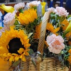 Donna Middlebrook - Facebook