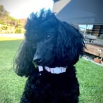 Donna Middleton - @donna.middleton.1967 - Instagram