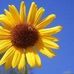 Donna Midkiff - Facebook