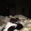 donnamnault - @donnamnault - TikTok