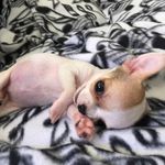 Donna Lawson Millard - @donnalawsonmillard - Instagram