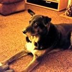 Donna Millard - @donnamillard2 - Instagram