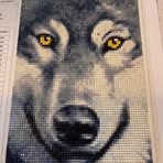 Donna Millard - Facebook