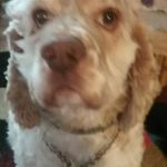 Donna Marie Milliken - @bigblue522 - Instagram