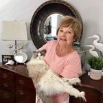 Donna Molnar - @don_namolnar - Instagram
