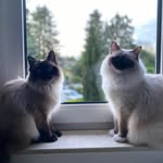 Monty & Donna - @_montyanddonna_ - Instagram