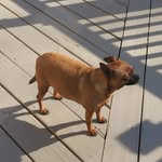 Donna Morehead - @morehead826 - Instagram