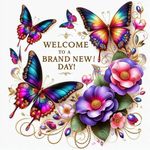 Donna Marie Morelli - @donna.morelli - Instagram
