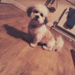 Donna - @donna.moriarty - Instagram