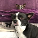 Donna Moriarty - @donna.moriarty.758 - Instagram