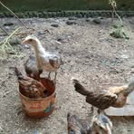 Mulya Dana - Facebook