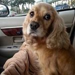 Donna Marie - @donna.mounceoverholt - Instagram
