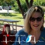 Donna Mount - @bbbird54 - Instagram