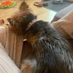 Donna Moxon - @donna_moxon - Instagram