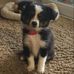 Donna Moy - Facebook