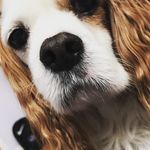 Donna Moy Rourke - @donna_moy_rourke - Instagram