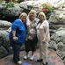 Donna Joyce Muldoon - Facebook