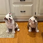 Donna Munden - @donna_munden - Instagram