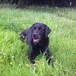 Donna Munro - @nickanddonna1 - Instagram