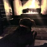 Donna Murdock - @donna.murdock.31337 - Instagram