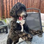 Donna Murrell - @markyboy262 - Instagram