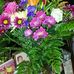 Donna Murrell - Facebook