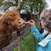 Donna Buckley Needham - Facebook