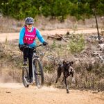 Donna Needham - @runforestrunriverrundiesel - Instagram